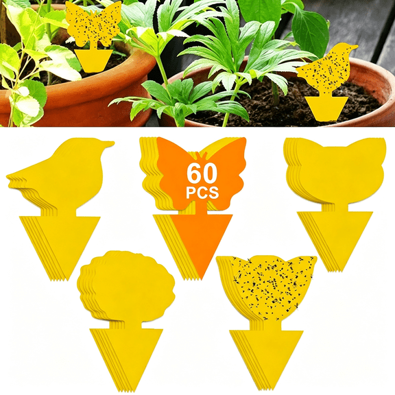 BPPEG 60 Pack Plant Sticky Trap Fungus Gnat Traps Killer for Indoor and Outdoor Bug, Fruit Fly Sticky Strips Protect Houseplant, Non-Toxic and Odorless Gnat Traps for Plants
