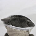 thumbnail image 2 of Langgg Transparent Cat Face Mask Cat Muzzle Anti Bite Anti Called Medium, 2 of 8