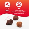 thumbnail image 4 of Good 'n' Tasty Kabob Bites Treat for All Dogs New Improved Formula for Softer Texture, 12 oz, 4 of 10