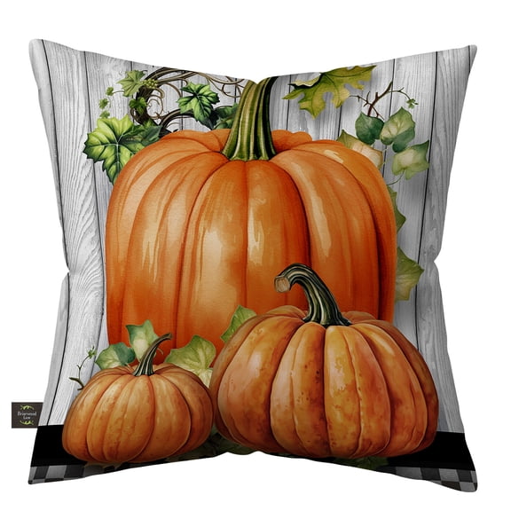 Briarwood Lane Fall Indoor/Outdoor Pillow 17x17 Country Farmhouse Pumpkins For Fall Pillow
