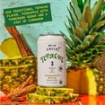 Tepache Pineapple Spice Modern Mexican Soda Craft Fermented