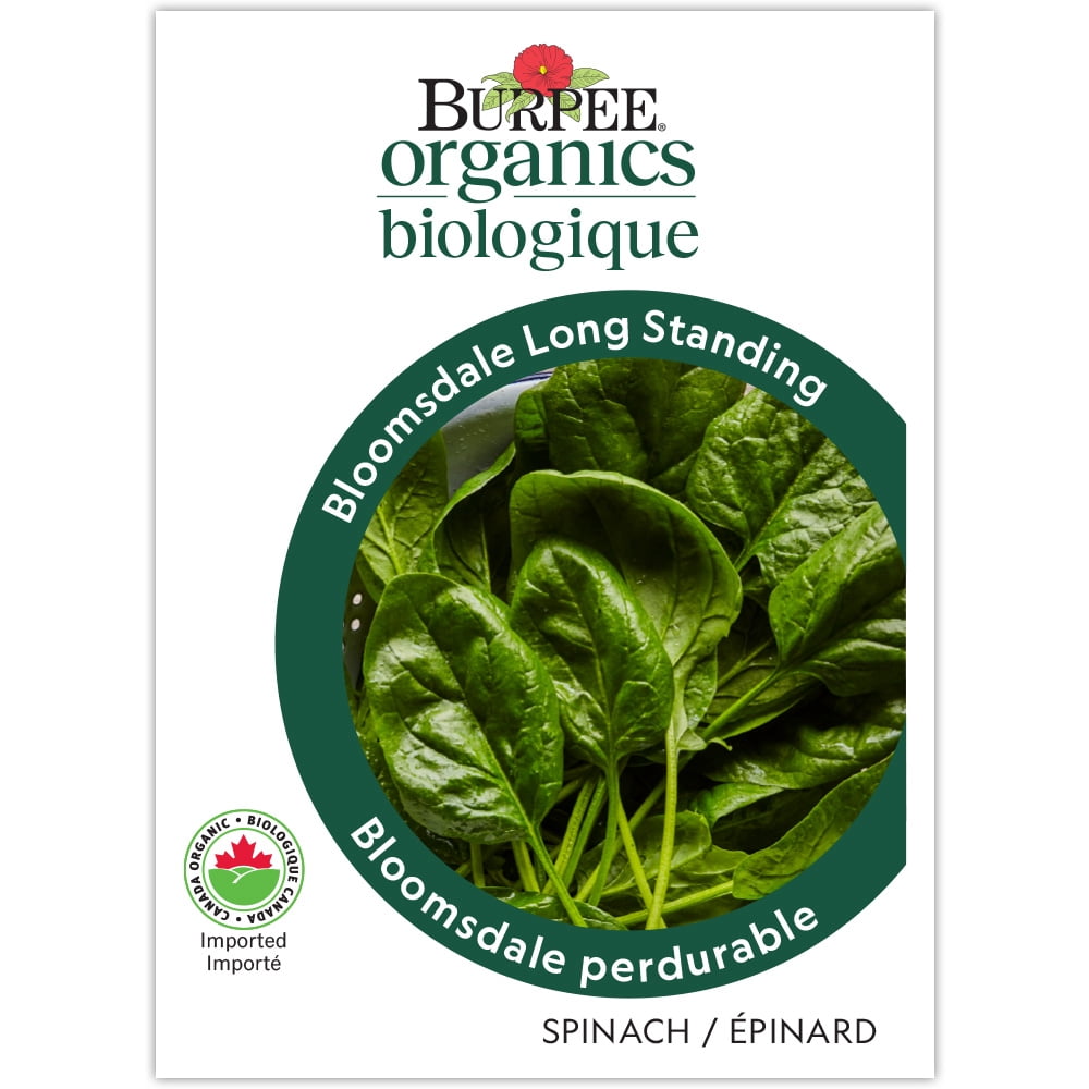 Burpee Bloomsdale Long Standing Org - Épinards