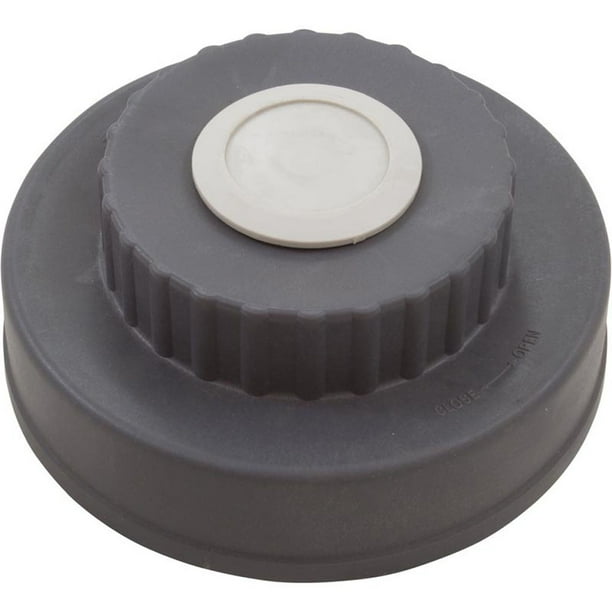 Lid Assembly, Waterco Chlorinator, w/O-Ring - Walmart.com - Walmart.com