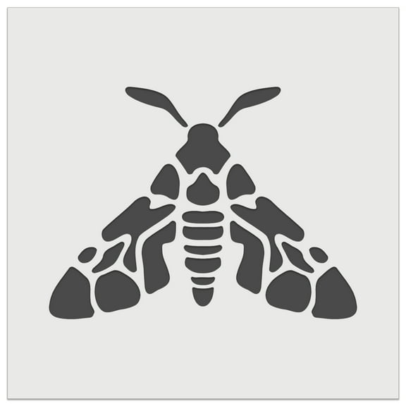 Artsy Detailed Moth Spring Summer Nature Lamp DIY Cookie Wall Craft Stencil - 5.5 Inch