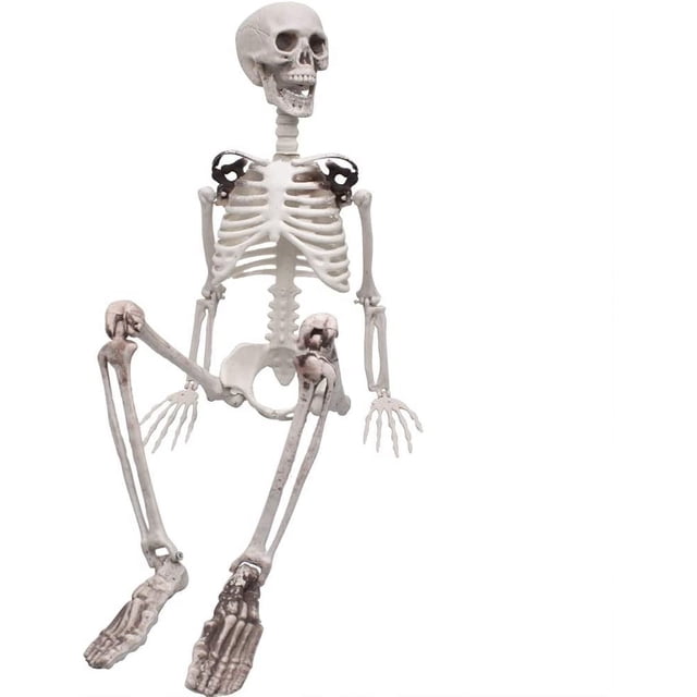 Esqueleto de Halloween Zhivalor Cuerpo completo Modelo de esqueleto con articulaciones móviles 90 cm