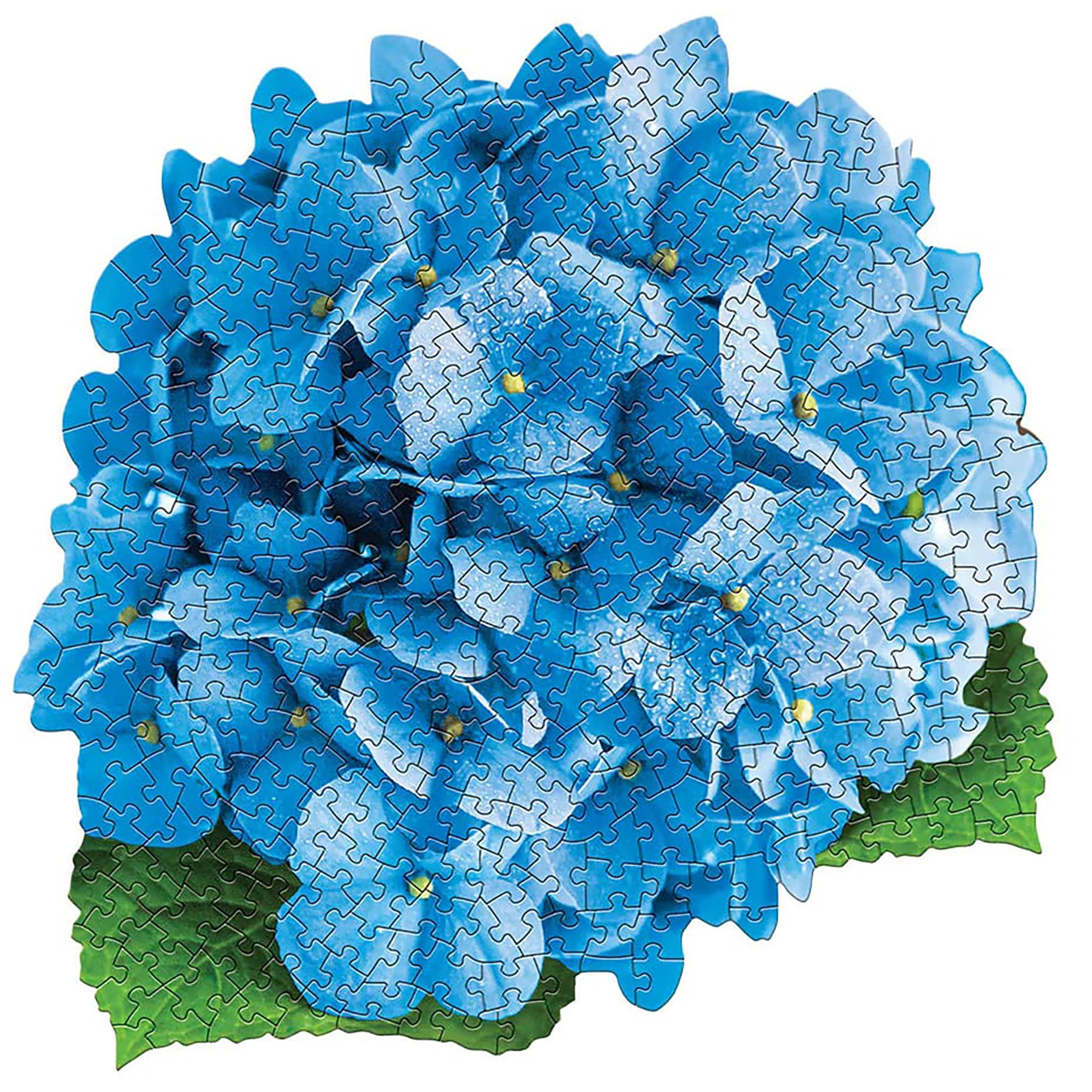 ◆Hydrangea4936◆ c9f1bca3-611b-4750-b8f5-