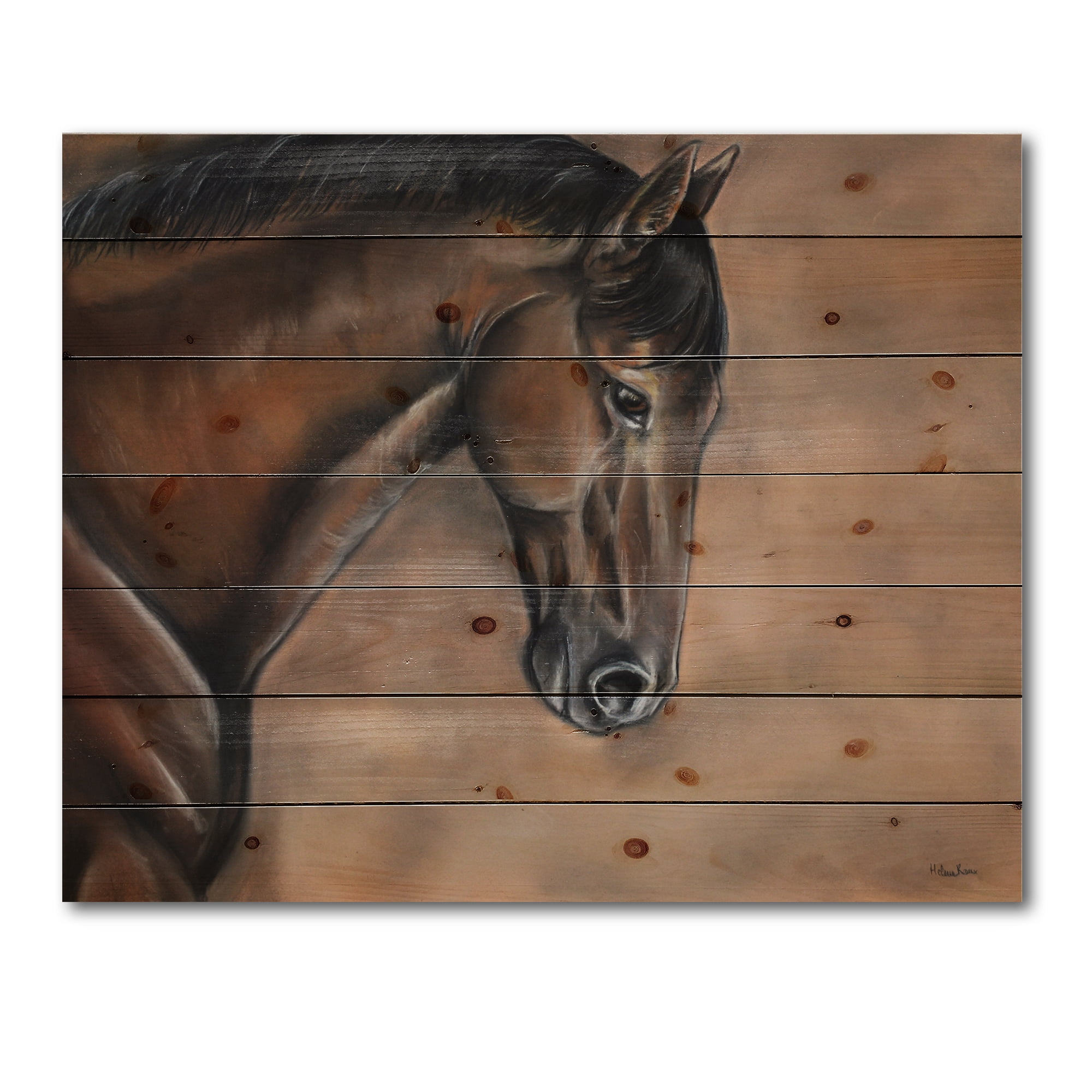 Designart 'Close Up Portrait Of A Brown Bay Horse' Farmhouse Print on Natural Pine Wood
