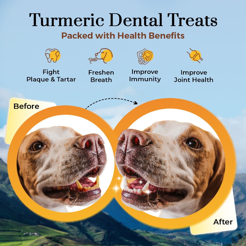 Dogsee Chew Himalayan Yak Chews Turmeric Long Lasting Dental Dog Treats Small 1 lb (13 Bars)