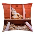 thumbnail image 1 of Farm Animal Throw Pillow Cushion Cover, Husbandry Photo with Laying Hen Incubating inside Cage and Eggs, Decorative Square Accent Pillow Case, 18" X 18", Burnt Sienna Blush Almond, by Ambesonne, 1 of 2