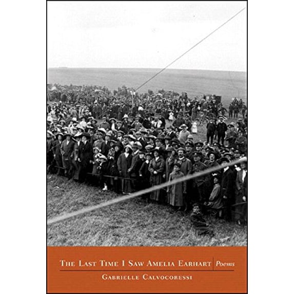 Pre-Owned The Last Time I Saw Amelia Earhart: Poems (Paperback) 0892553154 9780892553150