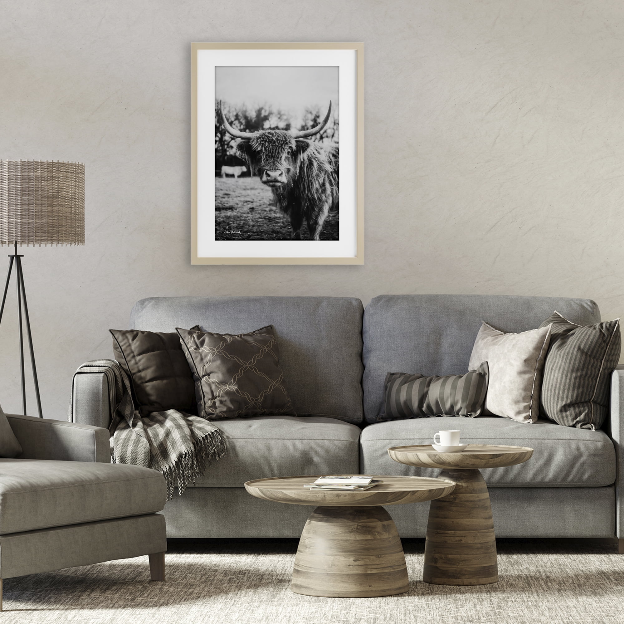 Stupell Industries Peering Highland Cattle Birch Framed Print Under Glass, design by Dakota Diener