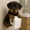 B, variant on ICQOVD Cute Dog Shaped Toilet Paper Holder Resin Wall Mounted Bathroom Organizer For Pet Lovers,Home Decor Collection
