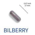 thumbnail image 5 of Lovita Bilberry Extract 6000mg, 25% Anthocyanins, 60 Capsules (Pack of 3), 5 of 5