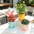 thumbnail image 7 of HomelyJoy Nordic Geometric Flower Pot, 14.5x5 Inch Yellow Plastic Planter with Bottom Drainage Holes for Window Sill Balcony Patio Garden, No Tray, 7 of 7