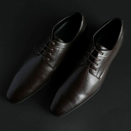 

Duca di Morrone - HAROLD