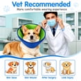 thumbnail image 4 of Dog Recovery Collar, Soft Cones for Dogs after Surgery, Dog Cone Collar for Wound Healing & Anti-Licking, Blue-Green, 4 of 7