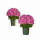 thumbnail image 4 of Flores artificiales de atardecer para exteriores | 5 ramos de plantas artificiales para decoración del hogar y eventos, 4 of 6