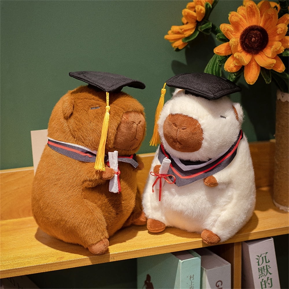 8.66" Dr. Capybara Plush Toy Adorable Fluffy Capybara Plush Toy, Hypoallergenic Gift for Medical Students, Doctors and Kids