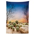 thumbnail image 3 of Ambesonne Mexico Tablecloth Rectangular Table Cover, Cactus Balls on Mountain, 60"x90", Multicolor, 3 of 4