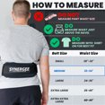 thumbnail image 3 of Synergee Weightlifting Belt 5” Padded Support for Squats Deadlifts Powerlifting & Cross Training - Medium, 3 of 6