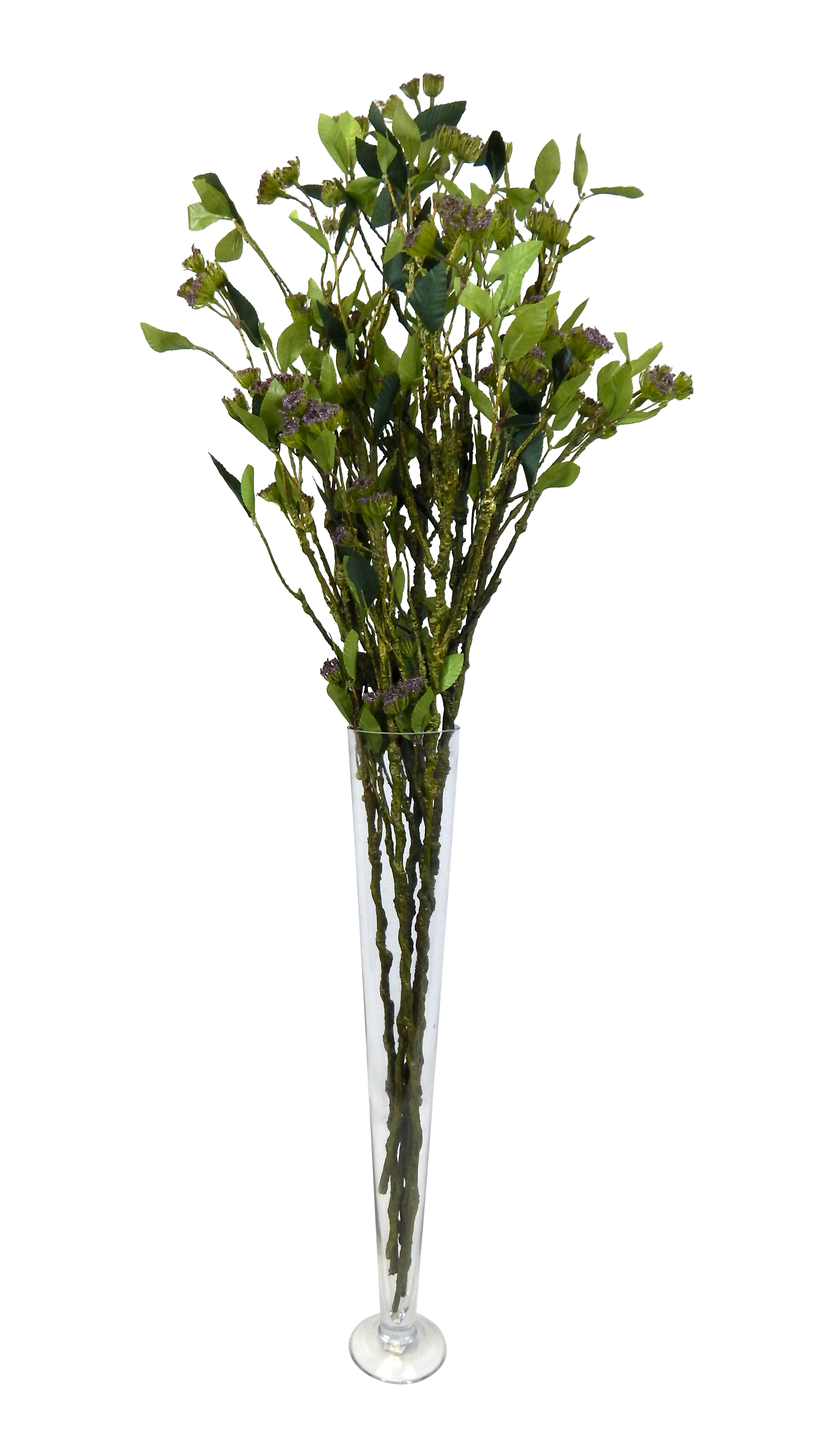 6 branches of long stem branches with leaves and seeds