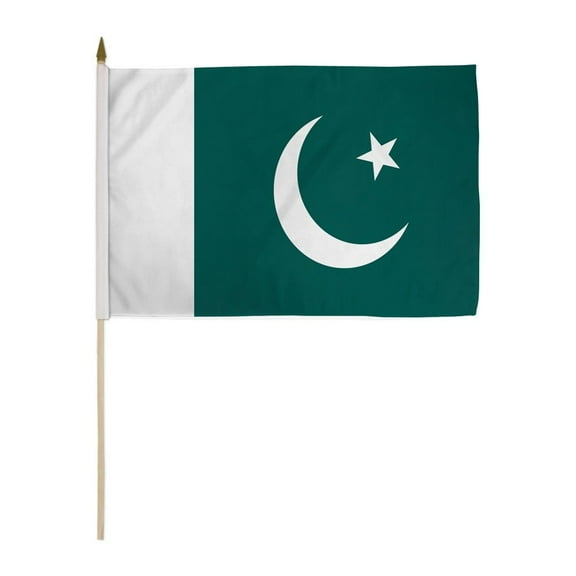 Pakistan 12x18in Stick Flag