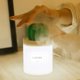 thumbnail image 2 of AmuseNd humidificador USB, luz Nocturna, Cactus XianweiShao 8390615109895, 2 of 3