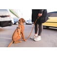 thumbnail image 2 of LAICAIW Rope Dog Leash 6 FT with Comfortable Padded Handle, Highly Reflective Threads Dog Leash for Medium Dogs, 3/8 inch, Orange, 2 of 7