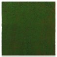 thumbnail image 1 of Shisuyan Artificial Moss Lichen Simulation Fake Green Plants for Patio Decoration ( ), 1 of 9