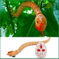 thumbnail image 2 of Orange Orange Remote Control Snake - 16 Inch Realistic Slithering Reptile Toy With Infrared Controller, Programmable Movement For Play Fun (0.44 Lbs), 2 of 3