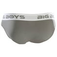 thumbnail image 2 of Big Boys Mini Briefs - Steel Grey, 2 of 4