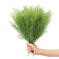 thumbnail image 2 of CHGBMOK Christmas Branches Norfolk Artificial Christmas Branches DIY Crafts Faux Christmas Norfolk Branches for Xmas Indoor Outdoor Home Decor, 2 of 8