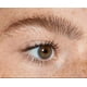 thumbnail image 4 of Gel Modelador Y Esculpidor De Ceja,morphe Brow Crush Tinted Morphe Setting Gel Translucent, 4 of 4
