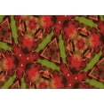 thumbnail image 1 of Ahgly Tapis Rectangulaire Lavable en Machine Rouge Tomate, 7 Pieds x 9 Pieds, 1 of 7