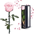 thumbnail image 1 of Flor preservada YAMPP Pink Eternal Rose, regalo para mujer, 1 of 7