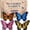 butterfly, variant on DIY Animal Bead Embroidery Kit, 4pcs 3D Animal Beading Crafts with Instructions, Cute Bead Art for Adults, Handmade Gift for Craft Enthusiasts