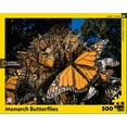 thumbnail image 2 of Monarch Butterflies, 2 of 3