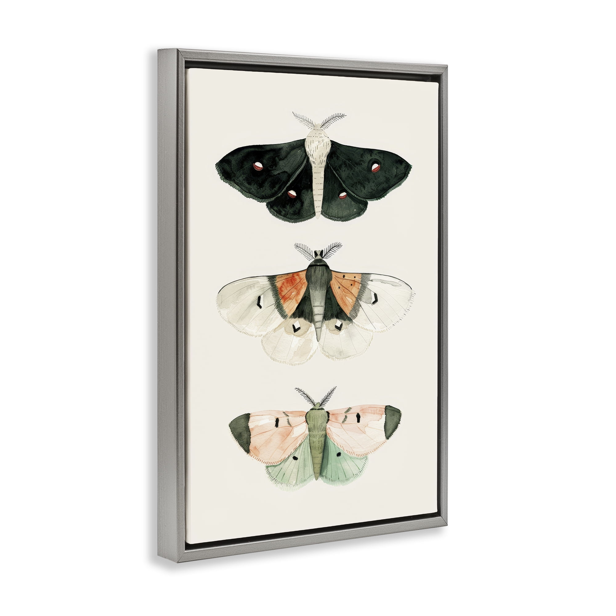 Stupell Industries Assorted Moth Trio Animals Painting Gray Floater Framed Canvas Art Print Wall Art, 17 x 25
