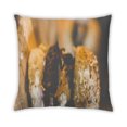 thumbnail image 2 of Ahgly Company Foods Hamburger Outdoor Throw Pillow, 18 inch by 18 inch, 2 of 6