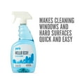 thumbnail image 3 of Sustainable Earth Glass Cleaning Spray Citrus 32 oz. 12/CT SEB61032RTU, 3 of 6