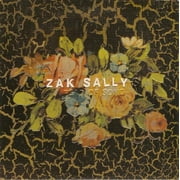 ZAK SALLY'S FEAR OF SONG - WHY WE HIDE