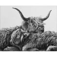thumbnail image 2 of Great Art Now My Highland V by Marie-Elaine Cusson, Canvas Wall Art, 20W x 16H, 2 of 2