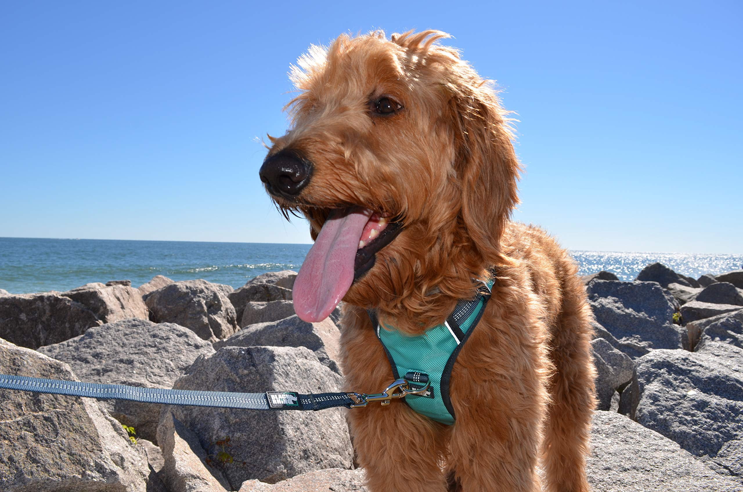 The Comfort Dog Harness With Mesh Padded Vest Aqua- Large Breeds