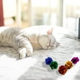 thumbnail image 5 of Jouet Interactif pour Chats et Chiens, Fabricant de Bruit pour Exercice Animal Intérieur Extérieur, 5 of 5