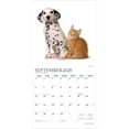 thumbnail image 4 of Kittens & Puppies | 2026 12x24" (Hanging) Monthly Square Wall Calendar | Plato, 4 of 9