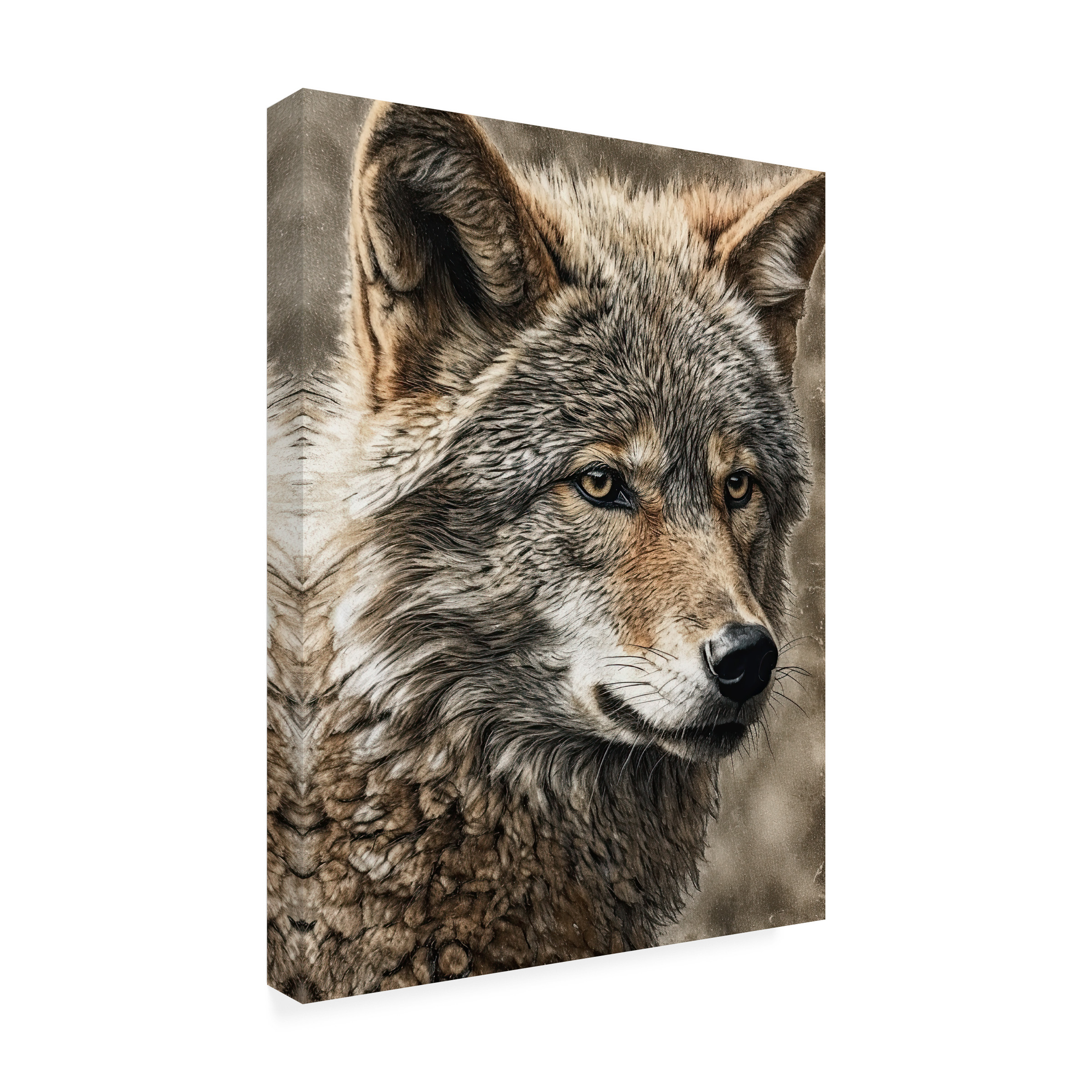 Canvas Wall Art - Sasha 'Wolf III' Wall Art for Living Room, Bedroom, or Office DÃ©cor by Trademark Fine Art - 24 x 32 Inches