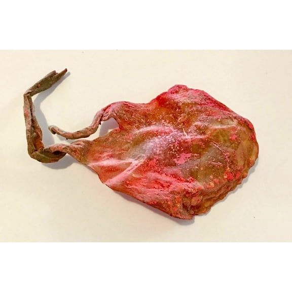 2 Black Billi Ki Jer Cord Original Energized 24000 Mantras Luck Wealth pack of 2