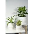 thumbnail image 5 of Better Homes & Gardens 6" x 6" x 5.4" Round White Ceramic Teramo Plant Planter, 5 of 9