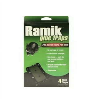 Ramik Small Glue Traps - Rainbow Technology