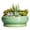 Light Green, variant on Ordivic 6 inch Blue Glaze Round Ceramic Bonsai Pot with Drainage Hole & Saucer, Decorative Indoor Plant Pot for Home Living Room Decor